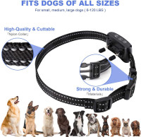 New Collar for Dogs