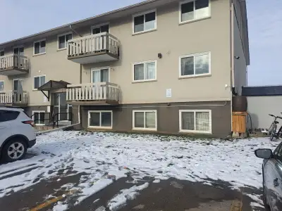 I bedroom for rent in a two bedroom sunny apartment. One roommate. Shared kitchen and bathroom. Laun...