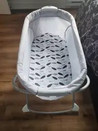 ***Soothing View Bassinet***