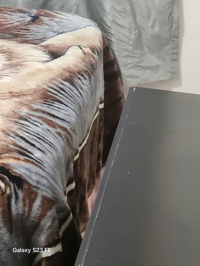 chambre à louer meublé ou non meublé, Montréal Nord in Room Rentals & Roommates in City of Montréal - Image 4