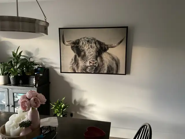 Highland Cow Wall Art - Set of 2 large prints in Home Décor & Accents in Trenton - Image 5