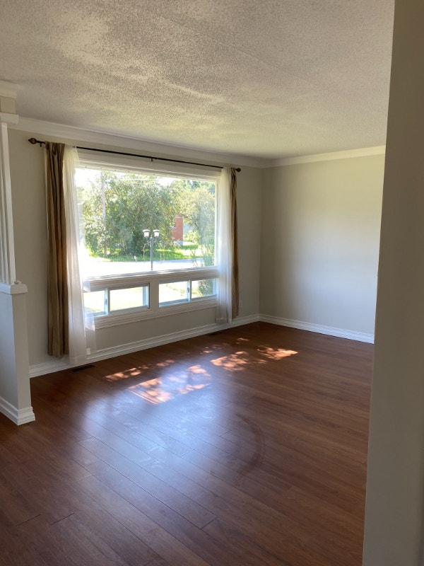 Cozy 3 bedroom home on a corner lot with large backyard! Long Term