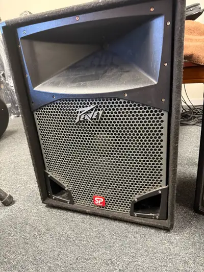 Peavey SP 15” speaker, View more