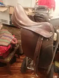 All purpose saddle 