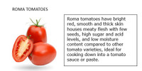 Tomato plants - different varieties