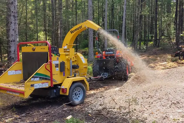 Winter Tree Removal64966060690306125