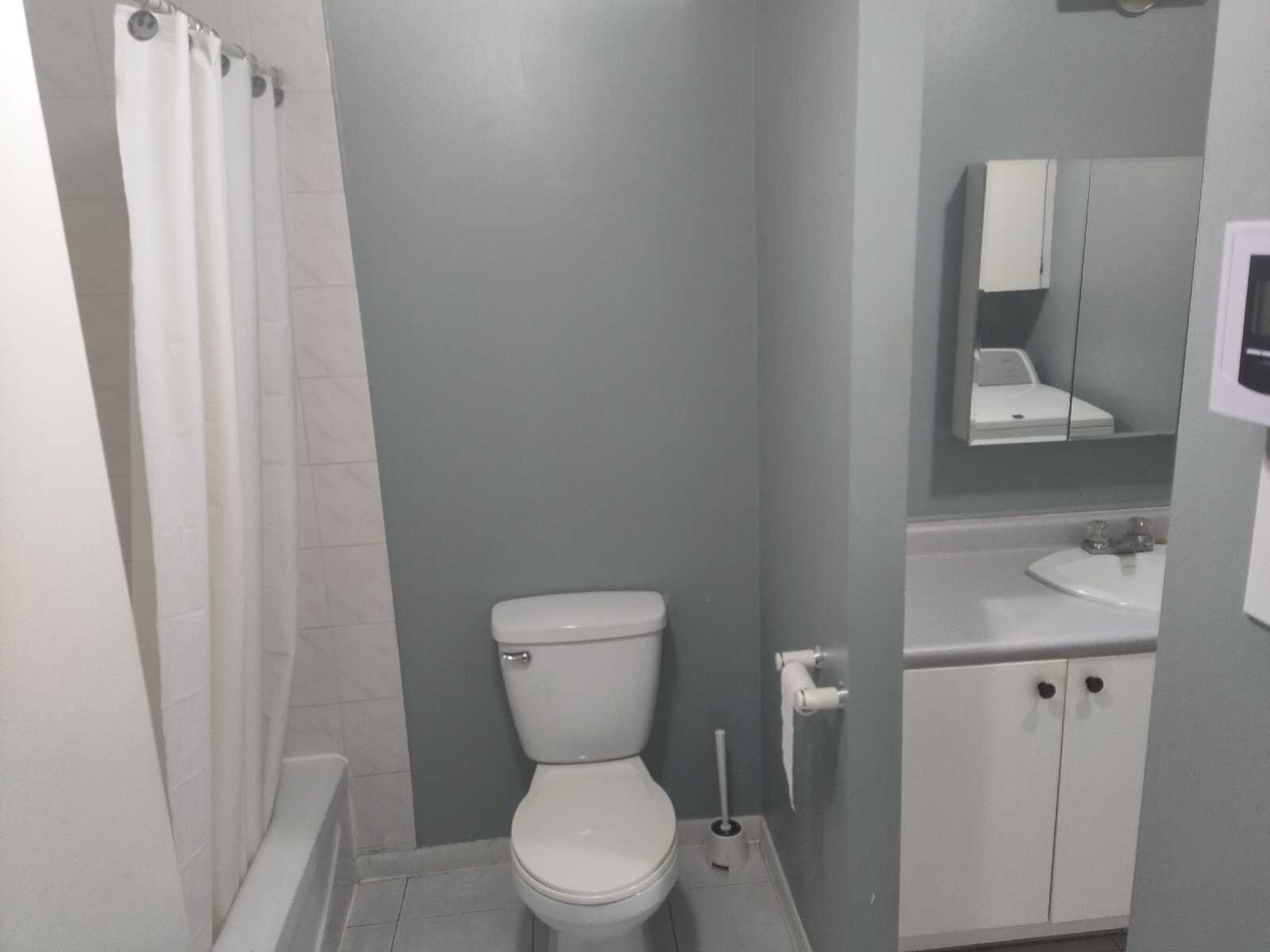 4955 Bd Marie-Victorin — photo 1