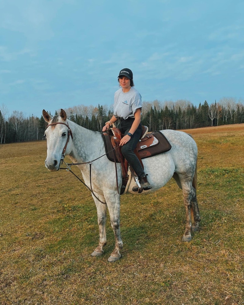 Quarter Horse Gelding Horses & Ponies for Rehoming Sudbury Kijiji