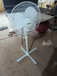 Pedestal Fan 