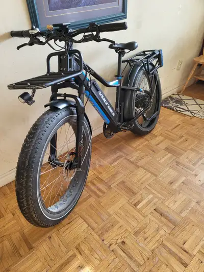 Best electric fat bikes Fat tire bike Yukon 750 Limited, View more
