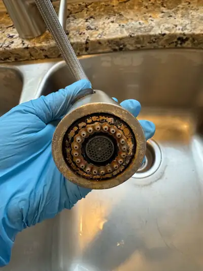 Experienced & Trustworthy House Cleaning, View more