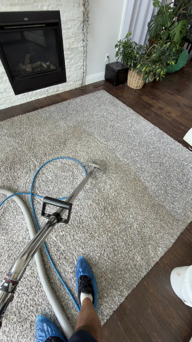 carpet$&$upholstery’s 