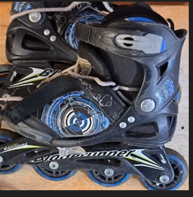 Roller Skates for Kids, Adjustable (CP H1Y 3E9)64840213820802120