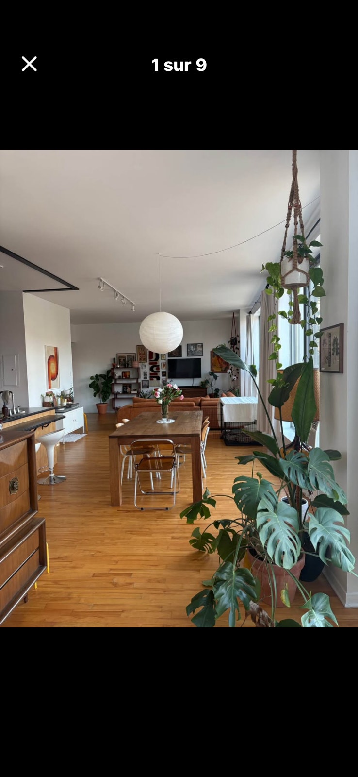 Grand loft chiens acceptés — photo 3