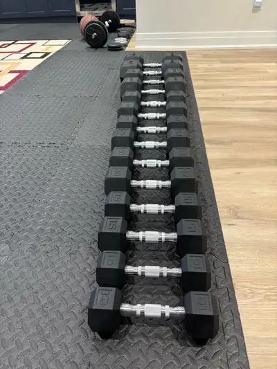 Hex Coated Dumbbells • 10-40lb • $0.80/lb, View more
