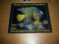 Marine Life of the Caribbean-