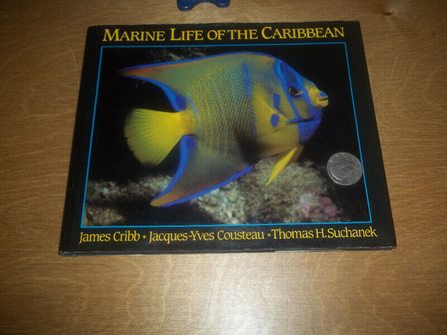 Marine Life of the Caribbean- dans Autre  à Ville de Montréal