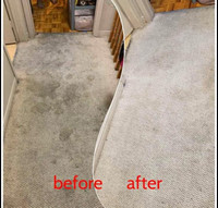 Carpet With Rugs And Couch Cleaner
