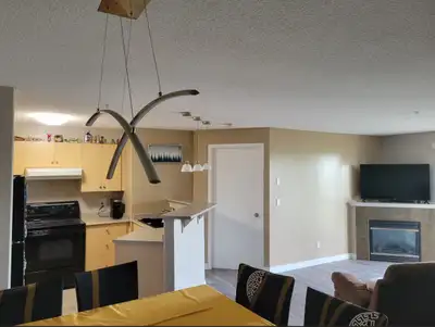 Fully furnished 2 beds 2 baths apartment for rent