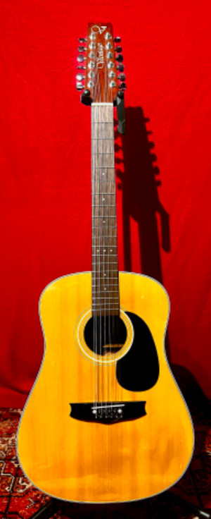 Vantage | Buy or Sell Used Guitars Locally in Canada | Kijiji Classifieds