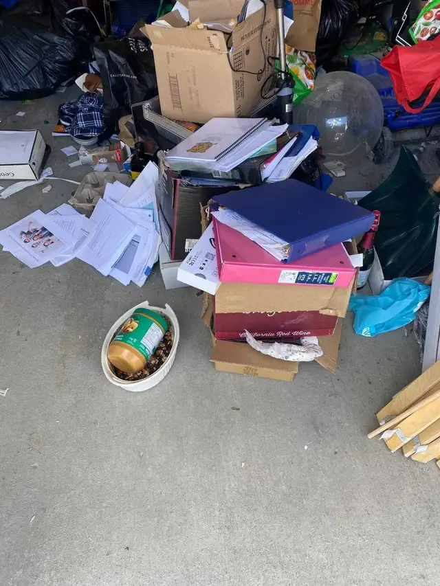 Junk removal services deck/shed demolitionig605939446894438409