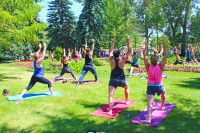 Outdoor Yoga Every Sunday - for all!