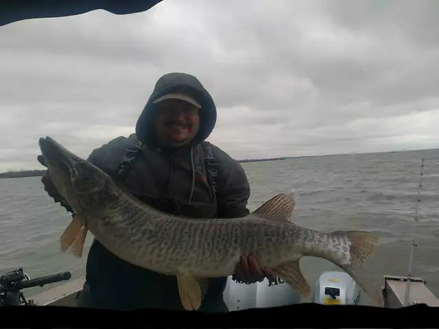 Musky Fishing Lake St Clair63838169612803122