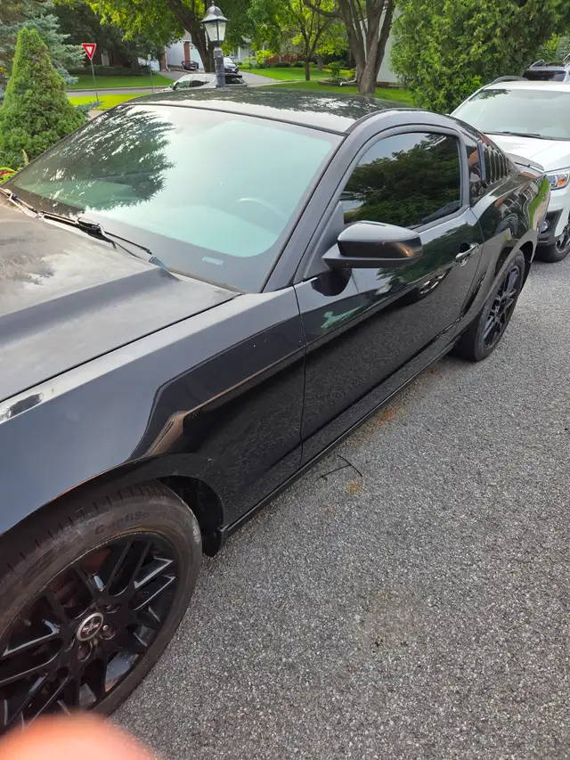 2014 Mustang557469095597199364