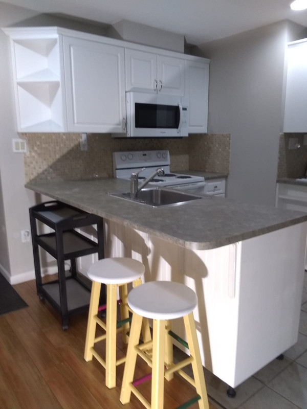 Legal 2bedroom basement suite (Willoughby Heights, Langley) Long