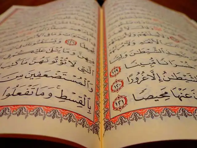 Online Arabic & Quran Female Teacher