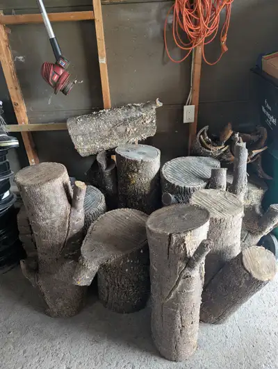 Free fire wood, View more