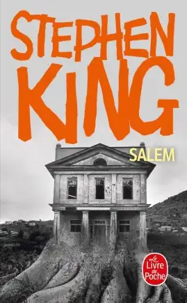 STEPHEN KING / SALEM / COMME NEUF TAXE INCLUSE, Voir plus