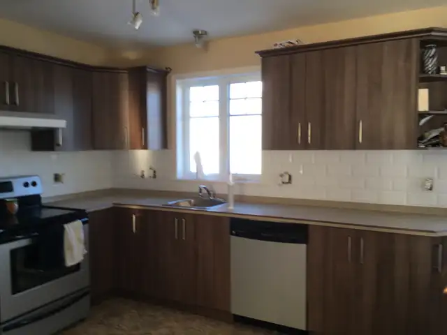 handyman64562259164674122