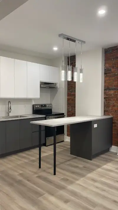 2 Bedroom Apartment – Fully Renovated in Central Hamilton