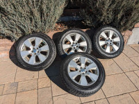 Blizzak winter tires $700 obo