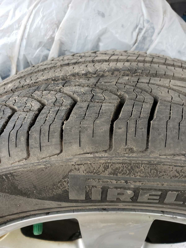 16" Pireli P4 Persist AS+ tires in Tires & Rims in St. Catharines - Image 2