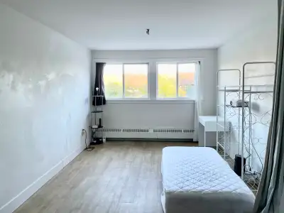 If you see this AD, its still available :) Living Space/Area Available (Monastery Lane — Quinpool Co...