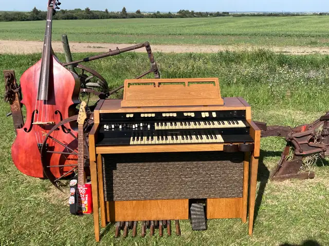 Hammond organ Leslie speaker in Pianos & Keyboards in Calgary - Image 2
