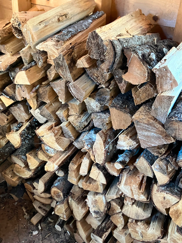 Campfire Wood- dry in Fishing, Camping & Outdoors in Moncton