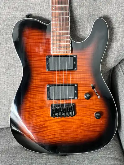 ESP LTD TE-401 Electric Guitar with Case, View more