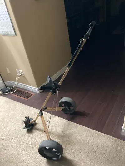 Turf-Rider Gold Golf Cart, View more