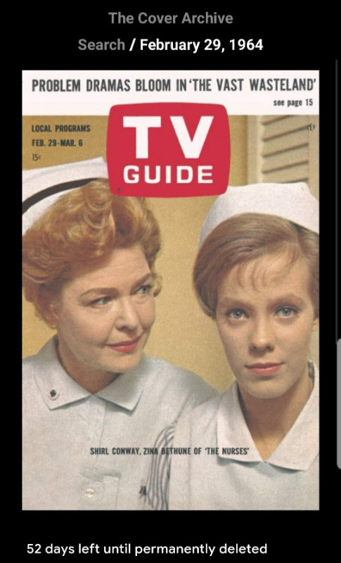 VINTAGE TV GUIDE MAGAZINES MINT CONDITION in Arts & Collectibles in Kingston - Image 2