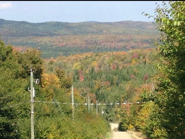 Magnifique terrain à vendre dans le Domaine des Appalaches — photo 1