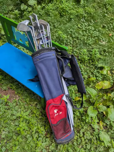 Fantastic Golf Clubs with Bag. Many Clubs in good shape., View more