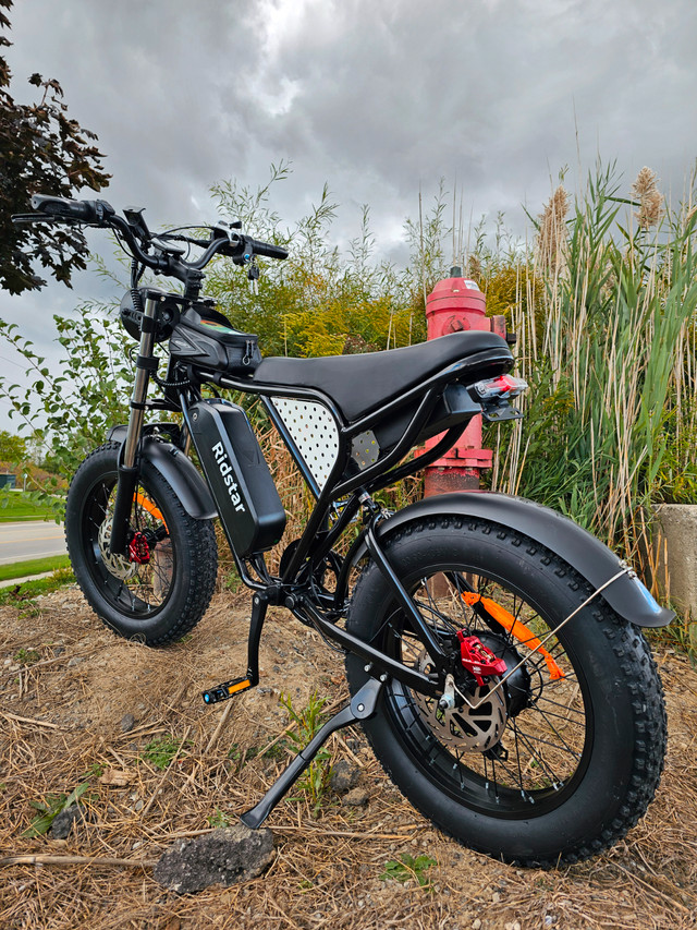 Looking for a Heavy-Duty Ebike? The Zeus Q20 is Built Tough. in eBike in City of Toronto - Image 4