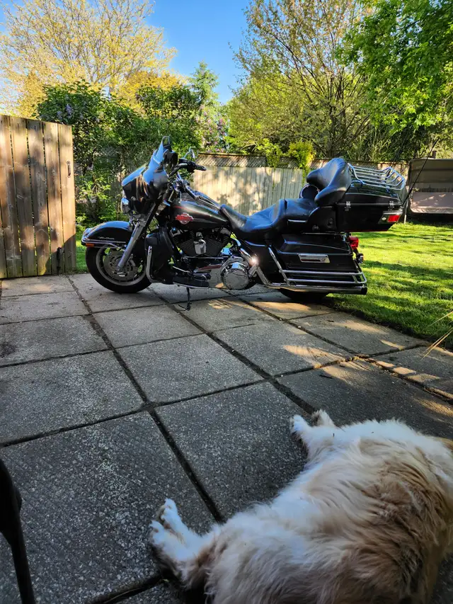 2007 HD Ultra Classic in Touring in Hamilton - Image 4