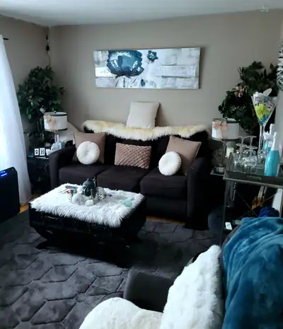 May 1st, or May8th, or June 1st Occupancy: preferred long term, 1 yr min... furnished room for rent,...