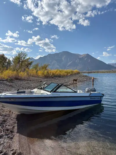 1991 thundercraft Humming bird helix5 gps fish finder Newer lower unit with high5 stainless prop Sna...