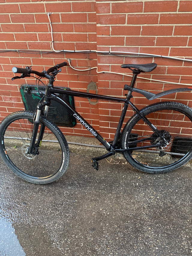 cannondale trail 5 sizing
