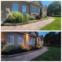 Lawn Maintenance / Spring Clean Up